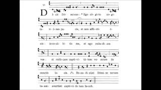 Dominica XXIII post Pentecosten  INTROITUS  Dicit Dominus [upl. by Nemrak]