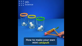 How to make your own mini catapult [upl. by Esiuole]