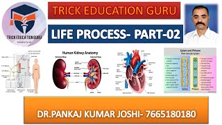 Life Processes Class 10 Science Biology [upl. by Yesnil]