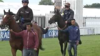 Investec Derby 2014  Breakfast with the Stars [upl. by Kotta]