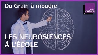 Les neurosciences sontelles trop présentes à lécole [upl. by Etnaed301]