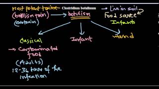 Clostridium botulinum infection [upl. by Atiras91]