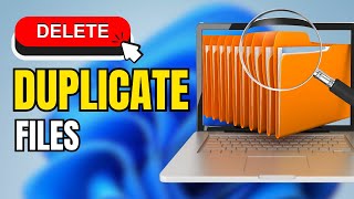 How to Delete Duplicate Files on Windows amp Mac  4ddig duplicate file deleter [upl. by Ominorej18]