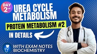 Urea cycle biochemistry  urea synthesis biochemistry  protein metabolism biochemistry [upl. by Paviour]