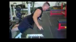 Boxing  Mma Posterior Chain amp Back Strength Exercise [upl. by Heindrick]