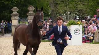 Badminton Horse Trials 2017 The Trot Up [upl. by Titos]