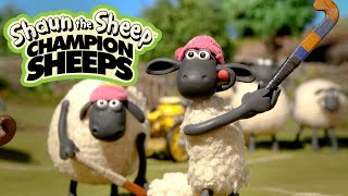 Hockey  Championsheeps Games  Shaun the Sheep [upl. by Lucilla]