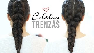 Peinados fáciles y bonitos con trenzas [upl. by Zeni]