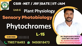 Phytochromes  Sensory Photobiology  Plant Physiology genesisinstitute [upl. by Otilegna282]