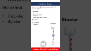 Types of neurons  HistologyPhysiology  by Imran Yaseen [upl. by Elime859]