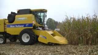 Koszenie kukurydzy kombajnem New Holland TC5070  Dni Kukurydzy 2014  WarpolAgroTV [upl. by Arihsa]