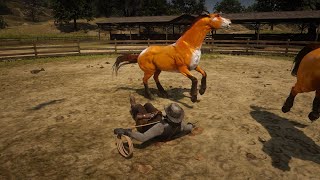 RDR 2  BEST HORSE TAMER  JOHN MARSTON  CUSTOM HORSE [upl. by Elleoj]