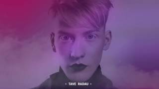 Silvester Belt  TAVE RADAU Official Audio [upl. by Grussing146]