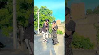 Hamre dhaniya ke patar patat hath dhare me dar lagala shorts trending dance video [upl. by Derina]