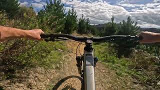 Shark Fin Soup  FourForty MTB Park [upl. by Hulbert]