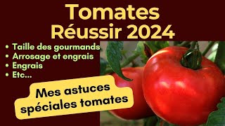 1ère taille des tomates 2024 taille arrosage engrais etc [upl. by Amsa142]