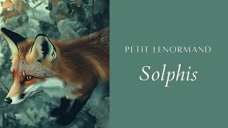 Présentation du Solphis Petit Lenormand [upl. by Assela496]