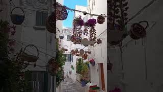 Puglia ostuni beautiful ytshorts travel secret puglia explore [upl. by Arebma]