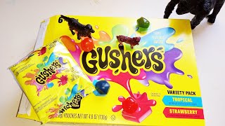 Unboxin Doxin  New Look Gushers Variety Pack Tropical And Strawberry [upl. by Atika]