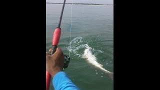 Kayak Fishing at the Murrells Inlet SC Jetties [upl. by Morgen]