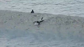 Surfing 3 in Widemouth Bay near Bude Cornwall England UK [upl. by Hsu364]