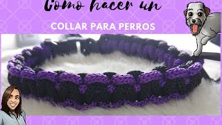 DIY Como hacer un collar para perro casero ACCESORIOS PARA TU MASCOTA [upl. by Mcconaghy141]