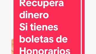 Cómo hacer mi declaración de renta con boleta de honorarios Cotización total o parcial [upl. by Romanas]