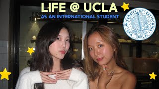 week ucla as an international student ✨ ⛱️ UCLA유학생 브이로그 [upl. by Ttocs]