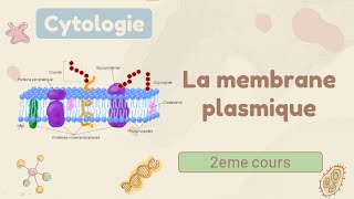 Cytologie  la membrane plasmique  cours de 1er année médecine [upl. by Aennyl]