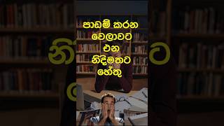 පාඩම් කරන වෙලාවට එන නිදිමතට හේතු🥱😱🥱😱study studytips studymotivation [upl. by Haila]