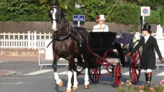 CAIT Deauville 20101010wmv [upl. by Ahsytal961]