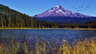 Mountain Lake Ambience  Relaxing Nature Sounds Birds Singing and Lapping Water with Soothing Wind [upl. by Gould35]