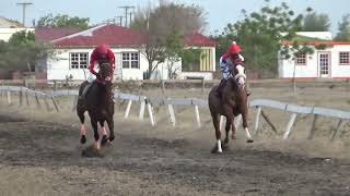 Barbuda 26 June 2022 Race 5 [upl. by Cyndia]