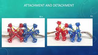 StarBlocks Soft Actuated Selfconnecting Blocks for Building Deformable Lattice Structures [upl. by Socram]