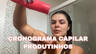 PRODUTOS DO MEU NOVO CRONOGRAMA CAPILAR  Truss Uso Obrigatório Night Spa Wella Brilliance e mais [upl. by Monro938]