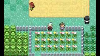 vete a la versh  episodio 2 en pokemon esmeralda [upl. by Haydon]