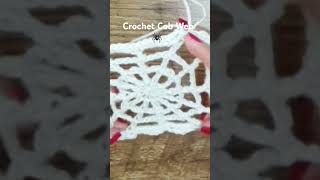 Crochet Cob Web TheKnitBoss [upl. by Swagerty]