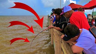 BIGGEST Fish I Ever Saw On A PIER   Fishing Galveston Island Pier [upl. by Fremont]