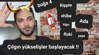 Boğa 4  Shiba ripple ada çılgın yükselişler gelecek [upl. by Jordan]