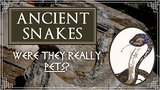 Were Snakes kept as Pets in Ancient Greece amp Rome [upl. by Llerrot946]