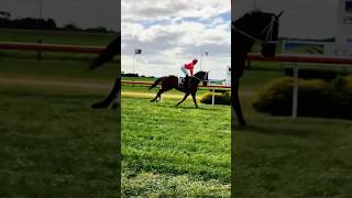 Racing 💪racing racehorse edit fyp shorts [upl. by Yehudi354]