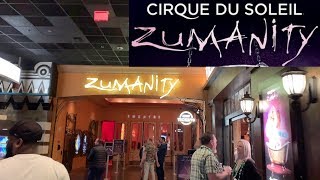 Cirque du Soleil Zumanity Show Review  Las Vegas Shows [upl. by Naugan]