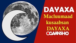 Dayaxa  maxaad ka taqaanaa   macluumaad dayaxa ku saabsan [upl. by Oralia]