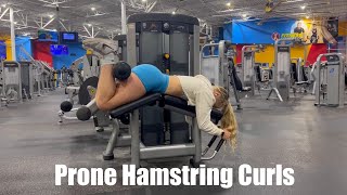 Prone Hamstring Curls [upl. by Lihkin448]