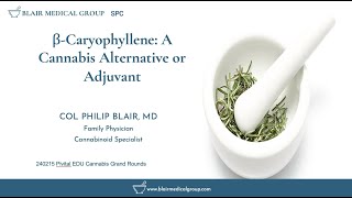 βcaryophyllene Cannabis Alternative or Adjuvant [upl. by Enileuqkcaj690]