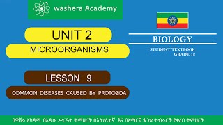 BIOLOGY GRADE 12 UNIT 2 LESSON 9 COMMON DISEASES CAUSED BY PROTOZOA [upl. by Nichy]