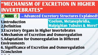 Excretion in Higher Invertebrates  Coelom  Metanephridia  Malpighian Tubules  Organ of Bojanus [upl. by Lomasi]