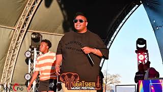 Dladla Mshunqisi Perfomance Gatsheni Music Festival [upl. by Merilee]