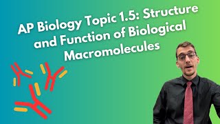 15 Structure and Function of Biological Macromolecules  AP Biology [upl. by Camellia]