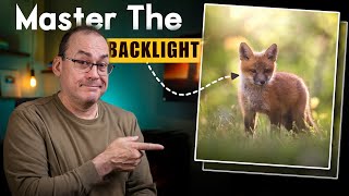 BACKLIGHTING pro tips for amazing photos [upl. by Nueoht]